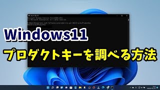 Windows11でコマンドプロンプトを使ってプロダクトキーを確認する方法 [upl. by Aivan]