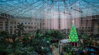 Theme Park Tempo Gaylord Palms Orlando Christmas 2023 [upl. by Mrots605]