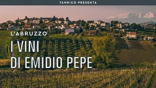 Emidio Pepe all’origine del Montepulciano d’Abruzzo  Tannico [upl. by Eidissac971]