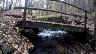 In der Karlstalschlucht bei Trippstadt im Pfälzerwald [upl. by Eillom599]