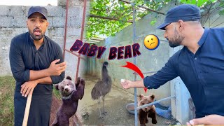 Ham Kbi Baby Bear Nhi La Saky Gy 😥 Wildlife Department Not Allowed [upl. by Rana]