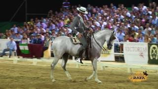 José Ramón Pérez García con Bacardi en el Campeonato de Andalucía 2017 [upl. by Eniladam]