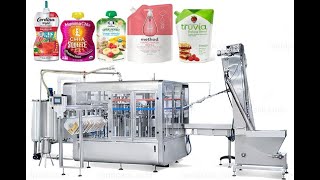 Automatic Spout Pouch FillingCapping Packing Machine for MayonnaiseCheeseKetchupLiquid [upl. by Anihcak]