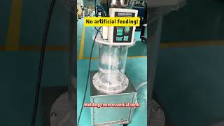 LESINTOR No Artificial Feeding Plastic Granules 300 Type Suction Machine industrialcrusher [upl. by Mosa679]