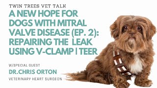 A New Hope For Dogs With Mitral Valve Disease Episode 2 Repairing the Leak Using TEER  VClamp [upl. by Dagna192]