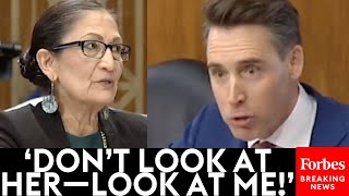 So Youre Not In Charge Josh Hawley Goes Absolutely Nuclear On Deb Haaland Over Corruption [upl. by Yenhpad]