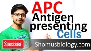 Antigen presenting cells APC [upl. by Kalil]