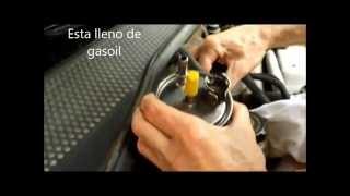 Ford Focus 18 Tddi Cambio filtro combustible [upl. by Cinomod]