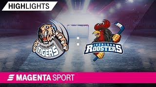 Straubing Tigers  Iserlohn Roosters  49 Spieltag 1819  MAGENTA SPORT [upl. by Amikan]