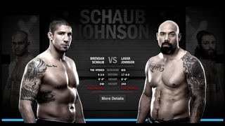 Brendan Schaub vs Lavar Johnson  UFC 157 [upl. by Ignacius516]