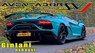 Lamborghini Aventador SVJ Gintani  334KMH 209MPH REVIEW on AUTOBAHN [upl. by Fotinas]