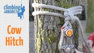 How to tie a Cow hitch  Arborist knot tying for rigging [upl. by Okramed]