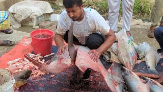 Amazing Big Pangas Fish Super First Cutting Skills In Fish Cutting Markets  Fish Cutter Experts [upl. by Einnil]