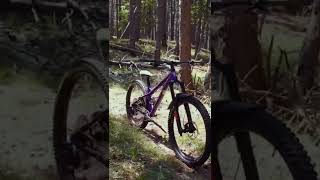 Aggressive Hardtail Build [upl. by Trevethick]