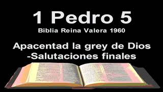 1 Pedro 5 Biblia Reina Valera 1960 Apacentad la grey de Dios Salutaciones finales [upl. by Kavanaugh]