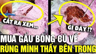 Mua THÚ BÔNG CŨ về dùng cô gái rùng mình khi tưởng TRỨNG GẤU BÔNG bên trong  Tin Nhanh 3 Phút [upl. by Kohsa183]