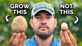 Watch This BEFORE You Plant Potatoes 🥔 [upl. by Ennayar]