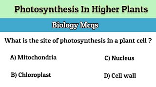 MCQ  Photosynthesis In Higher Plants [upl. by Anaihs204]