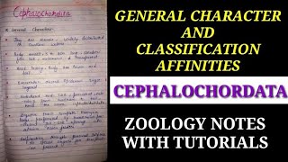 GENERAL CHARACTER AND CLASSIFICATION OF CEPHALOCHORDATA IN HINDI cephalochordatanotes zoology vbu [upl. by Nats]