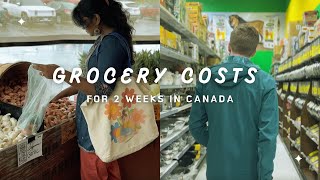 How much does it cost to buy groceries in Canada  Indian living abroad in Canada  Canadian Couple [upl. by Abramo]