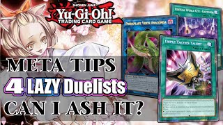 Ash Blossom Meta Tips for Lazy Duelists that dont want to READ March 2021 [upl. by Einnor]