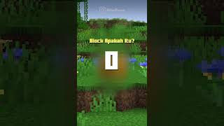 UJIAN MINECRAFT‼️🔥🔥🗣️🗣️ [upl. by Oicnanev]