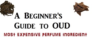 OUD  Do you know your OudAgarwood perfume  A detailed guide for all [upl. by Trilby]