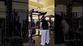 Barbell row 180kg 8reps [upl. by Wolfie]