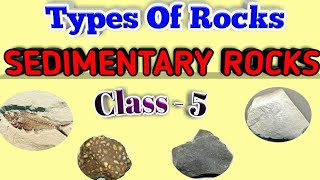 Rocks and Minerals  Sedimentary Rocks  Types Of Rocks  Class5 [upl. by Ainala]