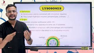 Membranous Organelles PART 2 [upl. by Koffler]