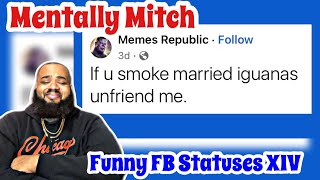 Mentally Mitch  Funny Facebook Statuses XIV  REACTION [upl. by Ahsinnod]