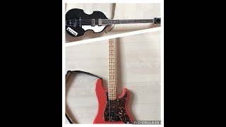 Höfner Violin Bass VS Fender Precision  Which Has More bass [upl. by Jena]