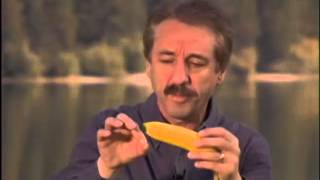 Ray Comfort on the Banana in context HQ [upl. by Licastro]