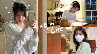 Slice of Life Uni Student Life Exam Study Vlog Lots of Cooking Being Busy [upl. by Gautious726]