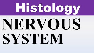 Inderbir Singh Histology Chp10  Histology of NERVOUS SYSTEM  Dr Asif Lectures [upl. by Cowles43]