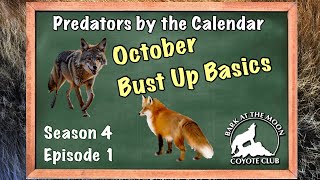 Predators by the Calendar Ep 1 [upl. by Miguel]