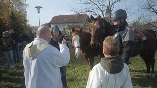 Traditioneller Austritt Leonhard ist quotRossheiligerquot [upl. by Cohleen333]