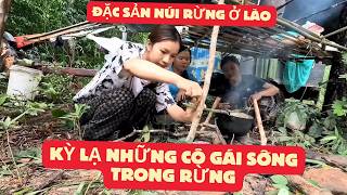 KHÁM PHÁ KHU RỪNG CÓ RẤT NHIỀU ĐẶC SẢN LOẠI ĐẶC BIỆT QUÝ HIẾM Ở LÀO [upl. by Earas]