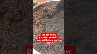 Sterilize your soil before starting seeds or starts Get growing stronger plants [upl. by Oakie]