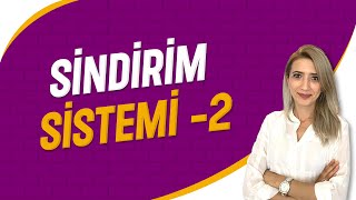 Sindirim Sistemi  2  Seda Hoca Biyoloji  10 Ders  sedahocabiyoloji ayt2023 [upl. by Mcleod]