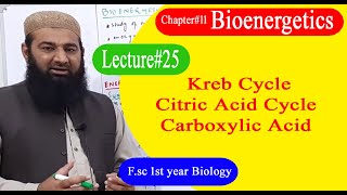 Biology Ch11Lecture25 Kreb cyclecitric cycle tricarboxylic acid FSc 1st Year [upl. by Gerti]