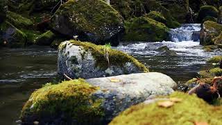 Cascading water [upl. by Rubio]