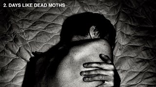 Suede  Days Like Dead Moths Official Audio [upl. by Aidnahs812]