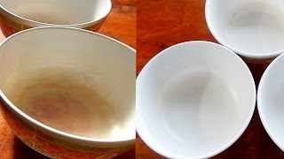 cleaning plastic dishes specks from tomato sauce or other acidic foods [upl. by Netaf]