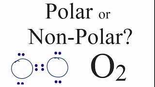 Is O2 Polar or Nonpolar Oxygen Gas [upl. by Kelcy]