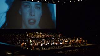 The Lord of the Rings in Concert  Evenstar  LIVE [upl. by Kruger]