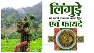 lingru ki sabji  lingdu kaise banaye  how to cook lingdu  daily Vlogs  cooking Vlogs [upl. by Frame786]