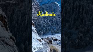 Kashmir Tour Plan Budget  Kashmir Vlog  shorts [upl. by Rhyne151]