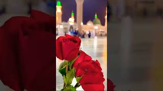 Mashallah ek main hi nahin UN per kurban jamana hai mashallah video Madina munawara video editing 👳🌹 [upl. by Pachston23]