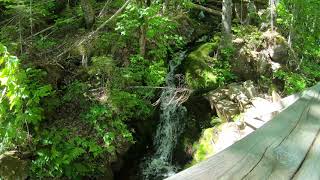 Sentier le riverain parcnational des hautes gorges [upl. by Ayila]